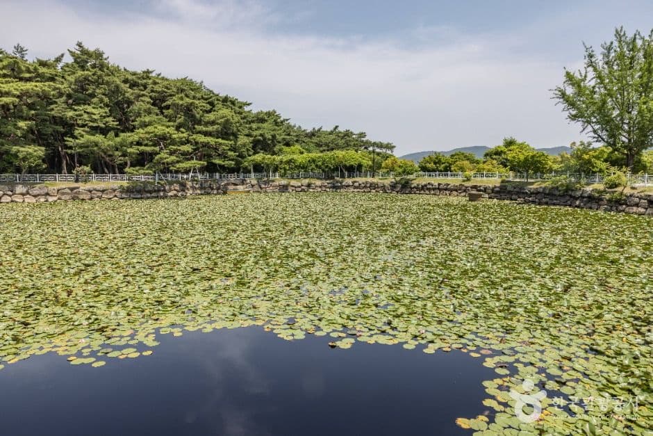 통일전(경주) 사진 4