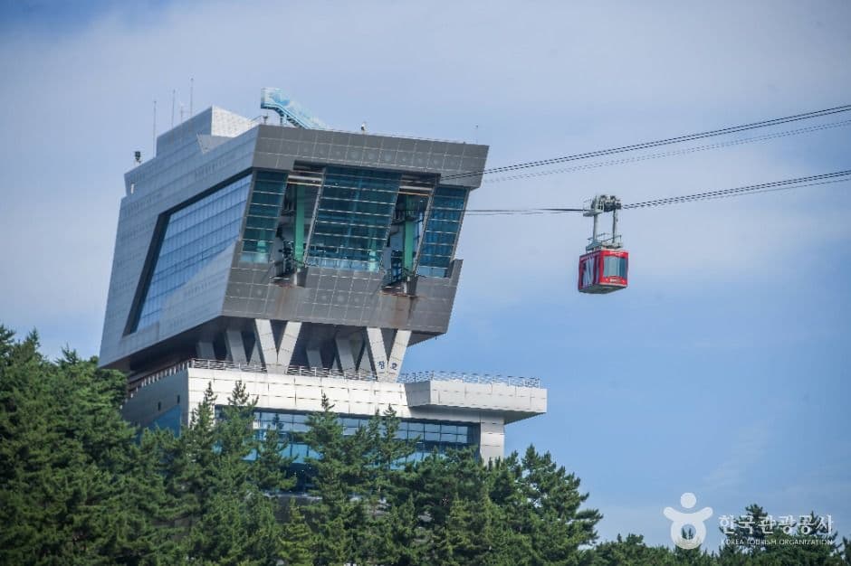 삼척해상케이블카 사진 2
