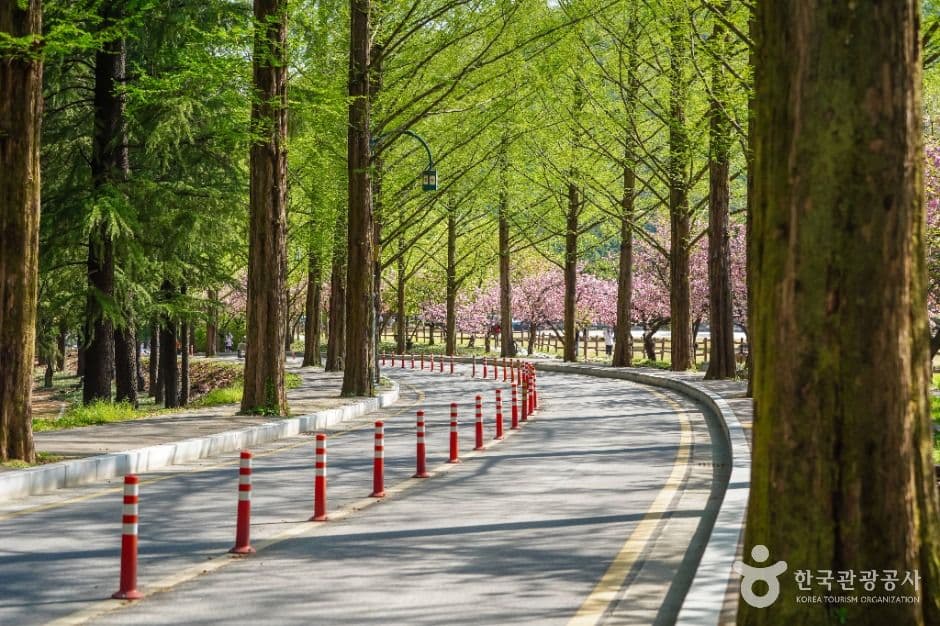 금오산도립공원 사진 1