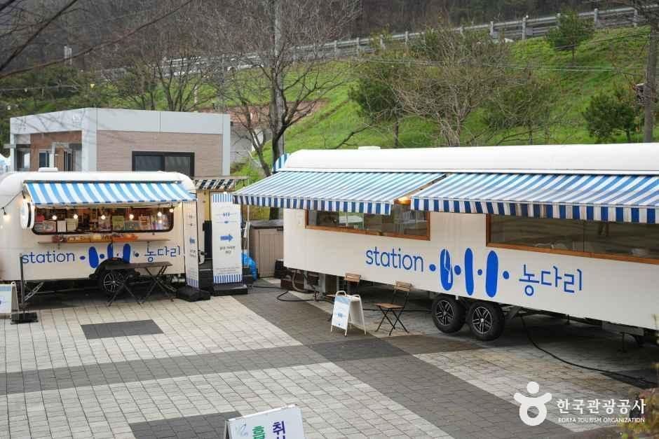 진천 농다리 사진 3