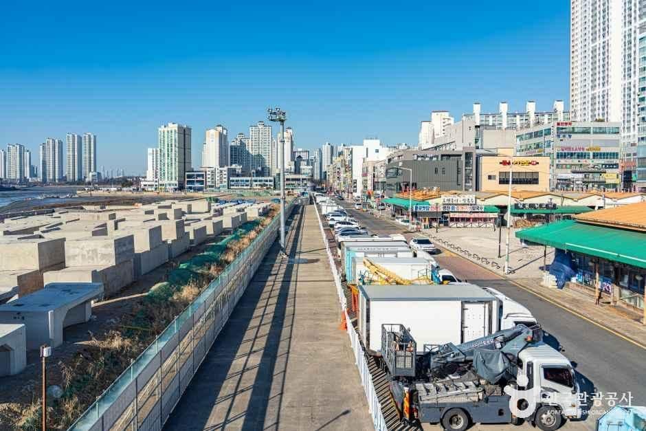 월곶포구 사진 3
