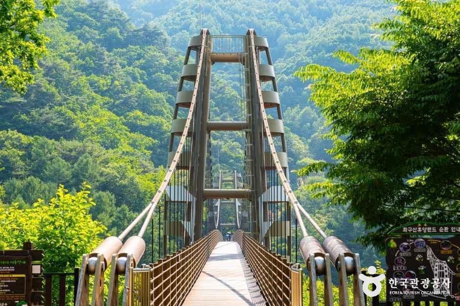 증평 좌구산 명상구름다리 사진 5