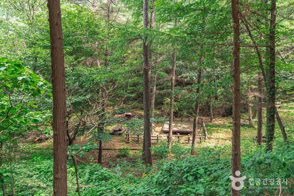 문수산산림욕장 사진 2