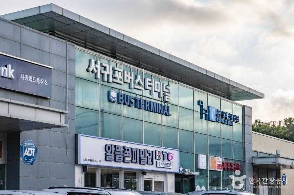 [제주올레 7-1코스] 서귀포 버스터미널-제주올레 여행자센터 올레