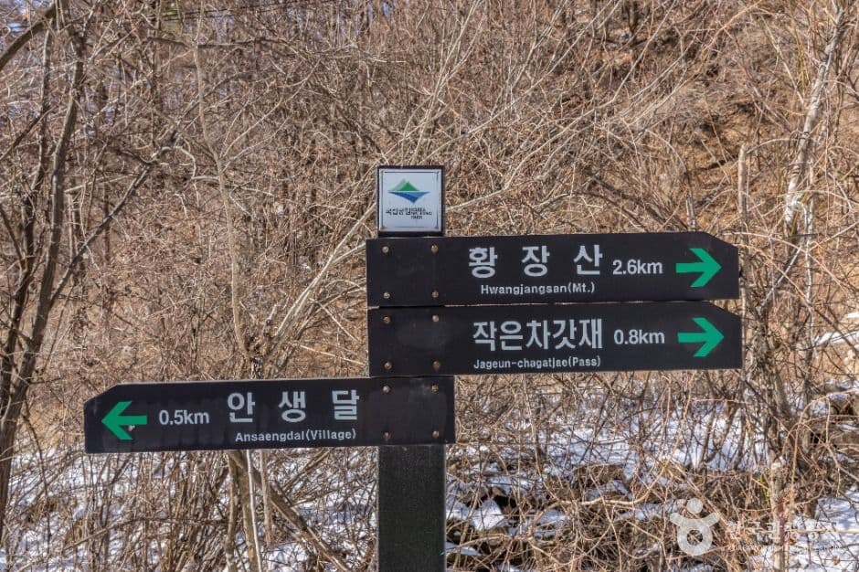 황장산 사진 3