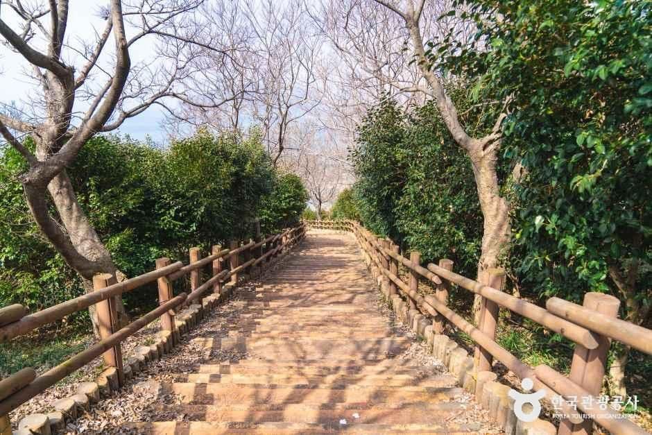백수해안도로 사진 6