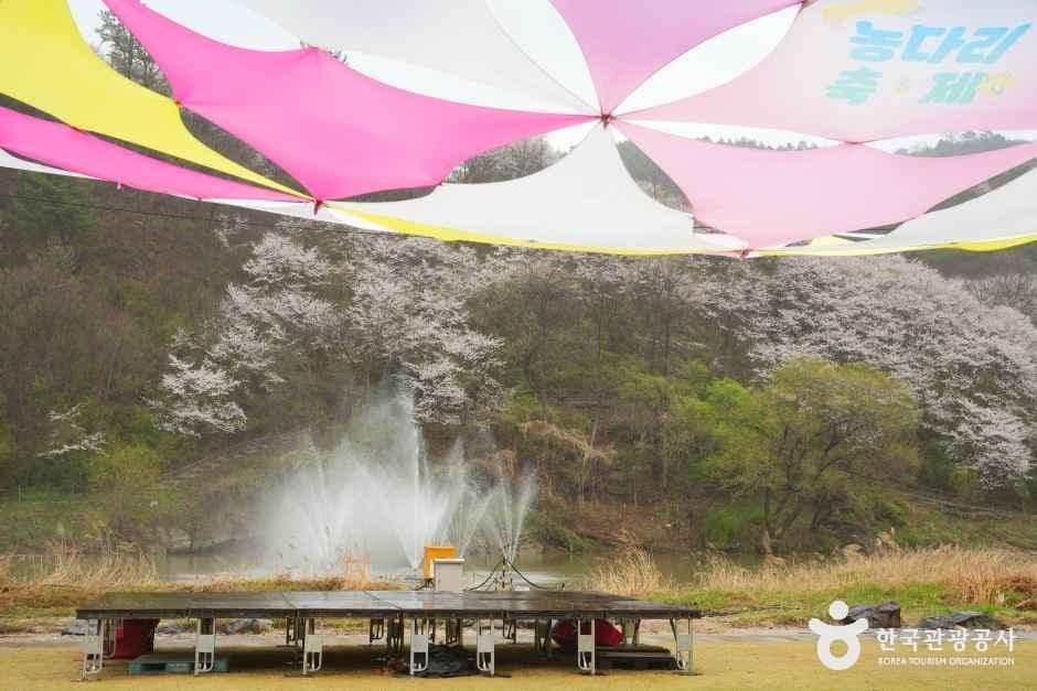 진천 농다리 사진 4