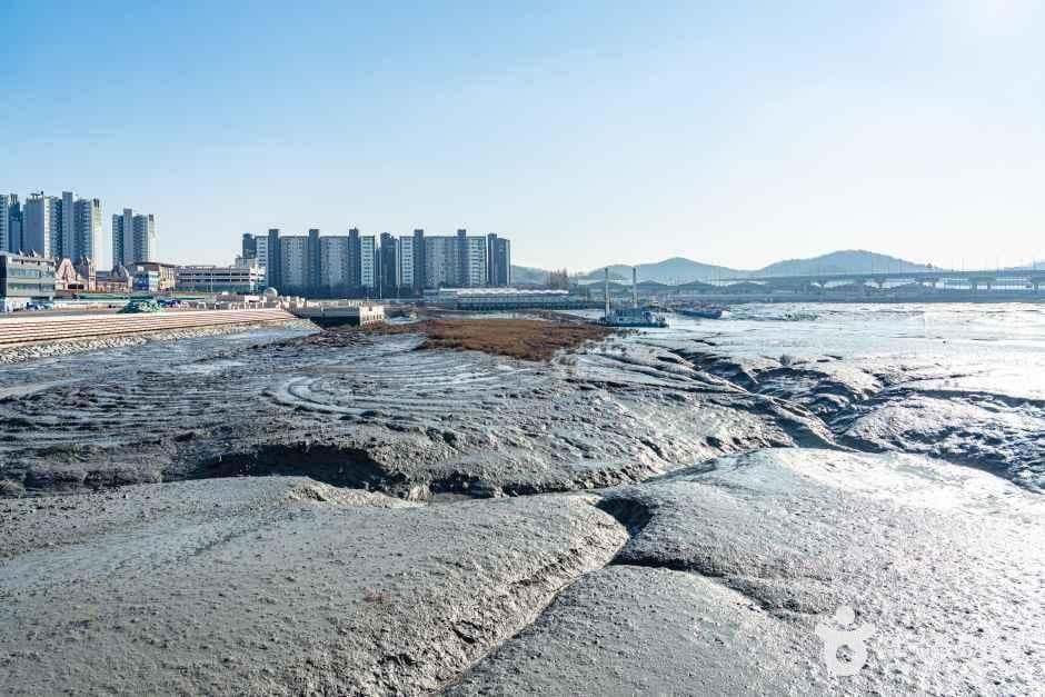 월곶포구 사진 4