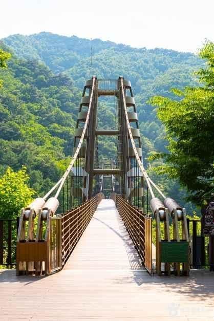 증평 좌구산 명상구름다리 사진 6