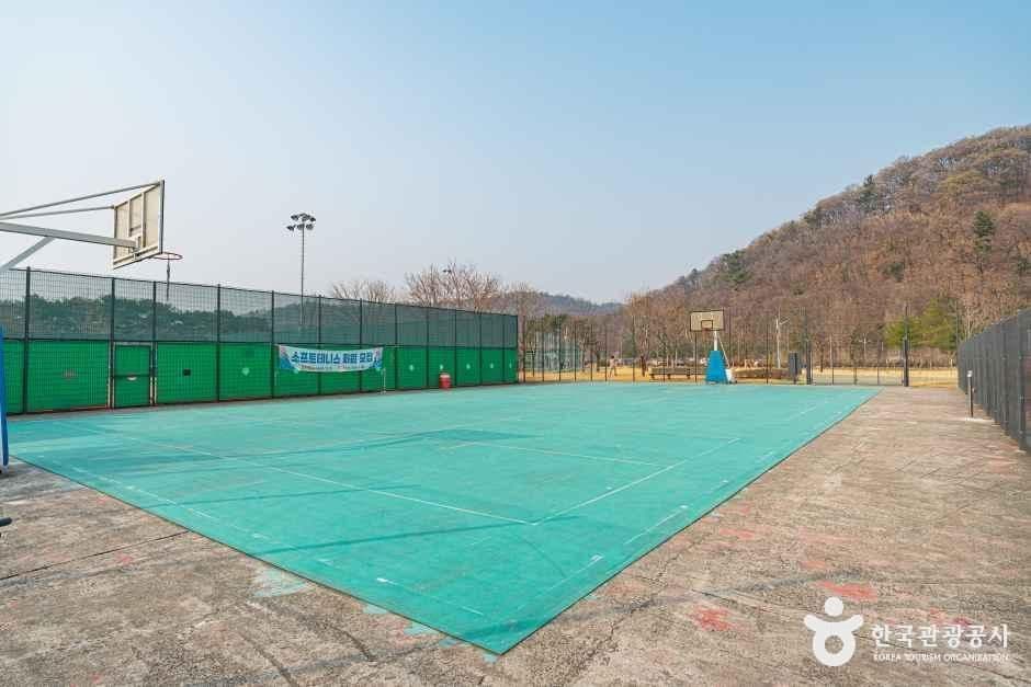 수성패밀리파크 사진 4