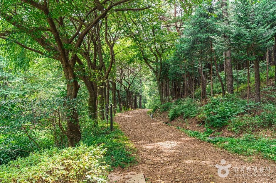 문수산산림욕장 사진 3