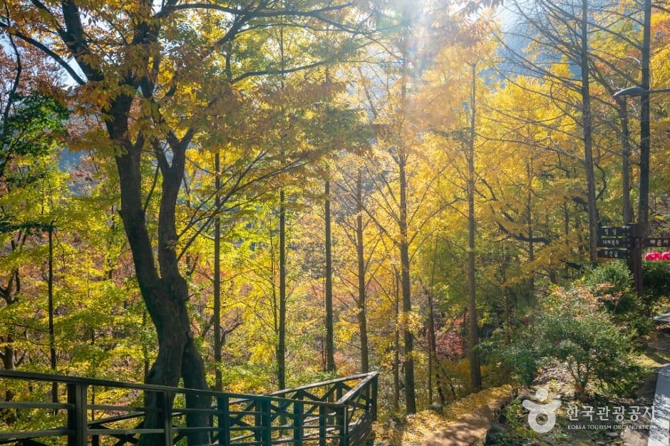 금오산도립공원 사진 2