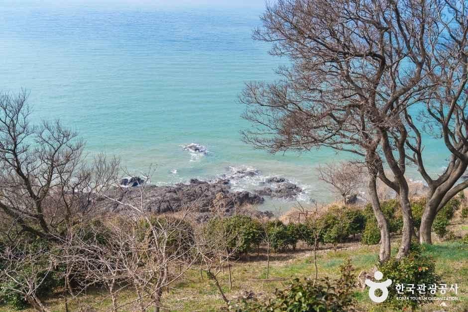 백수해안도로 사진 7