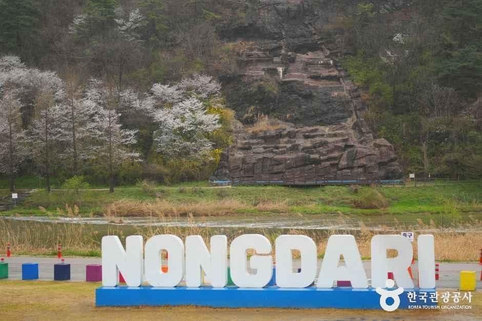진천 농다리 사진 5