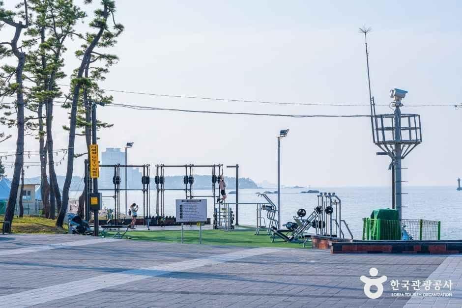 사근진해변(사근진해수욕장) 사진 3