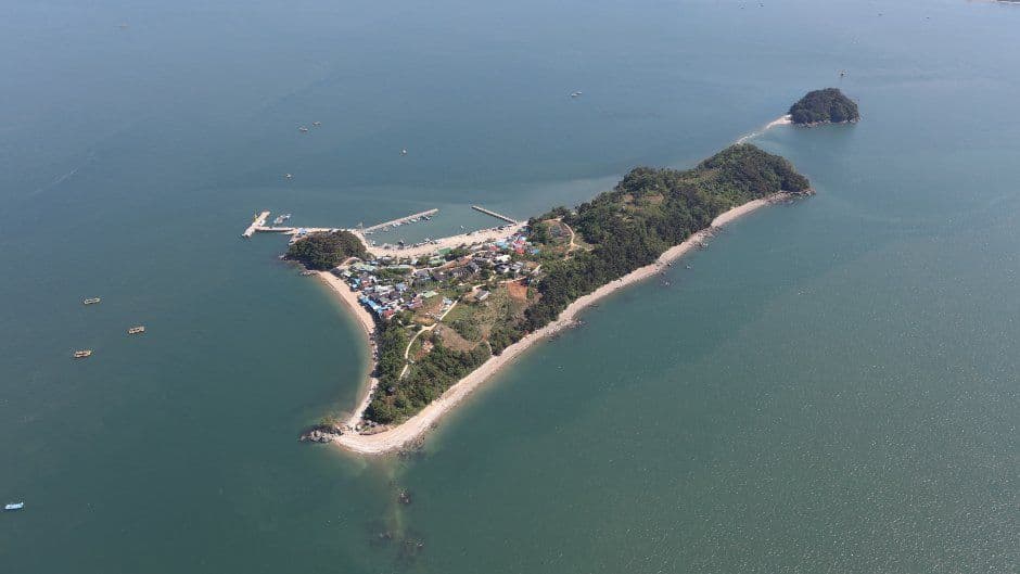 국화도