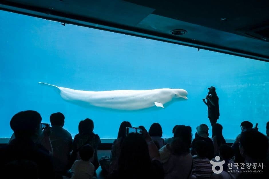 거제씨월드 사진 7