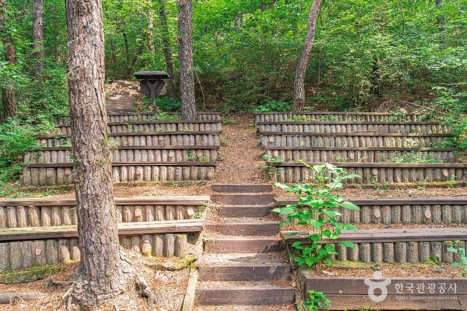 문수산산림욕장 사진 4