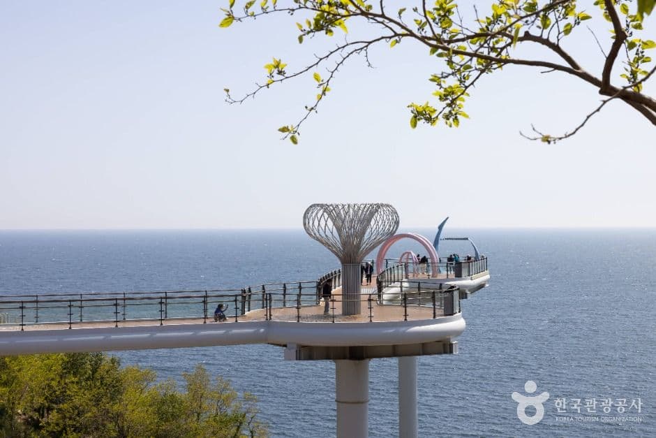 도째비골스카이밸리 사진 8