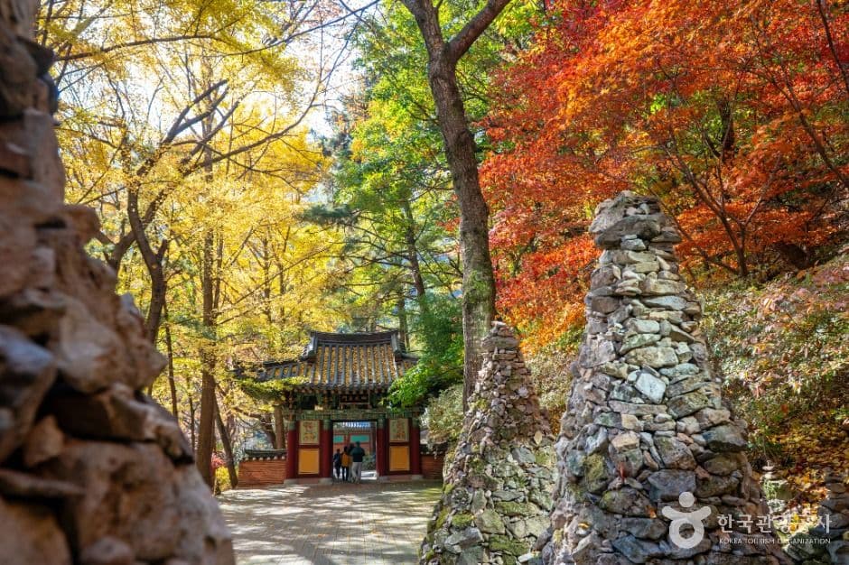 금오산도립공원 사진 3