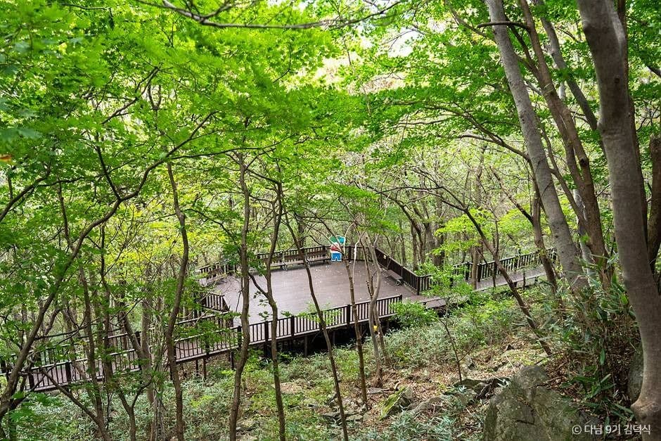 국립 방장산자연휴양림 사진 5