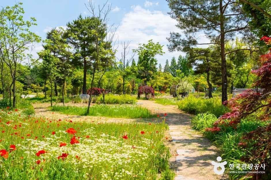 경북천년숲정원 사진 1