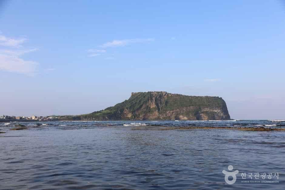 광치기해변 사진 5