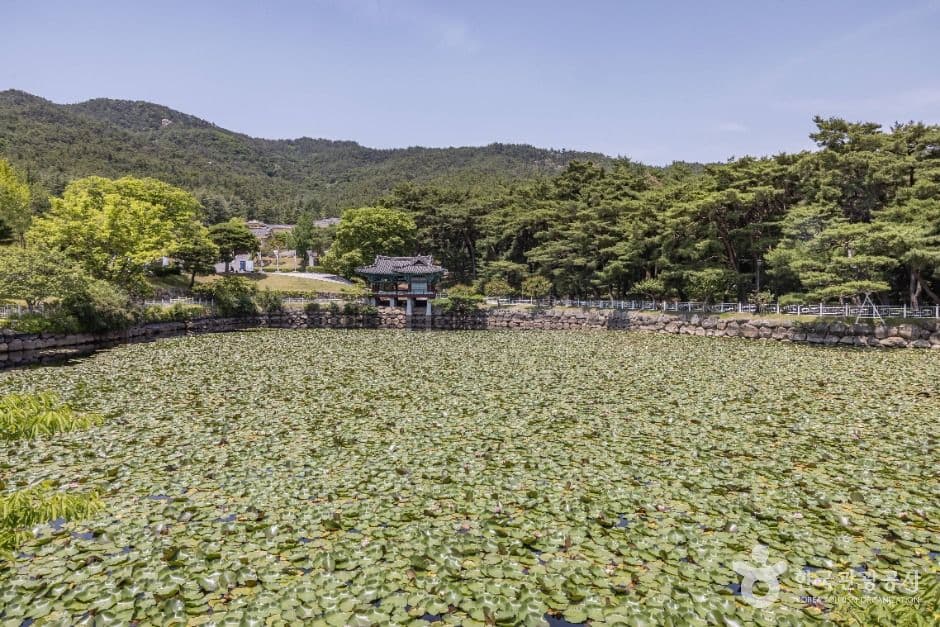 통일전(경주) 사진 6