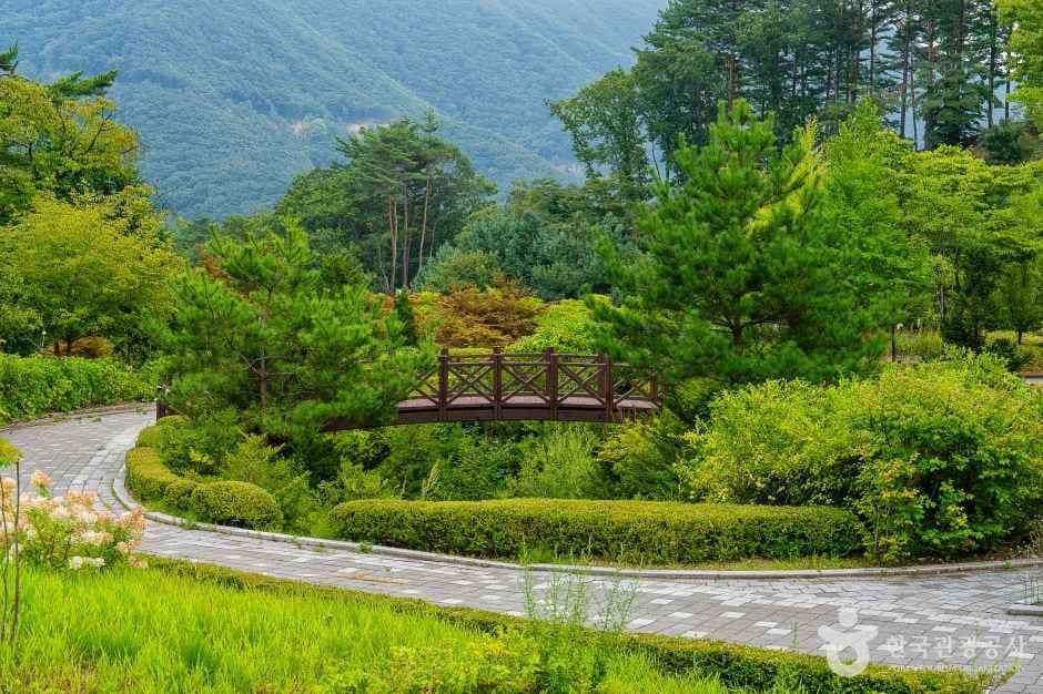 백두대간 생태수목원 사진 8