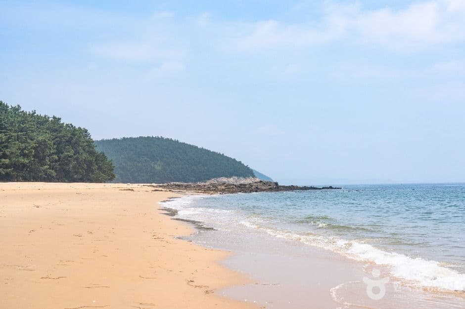 사창해수욕장 사진 4