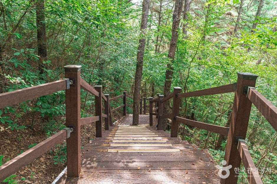 문수산산림욕장 사진 5