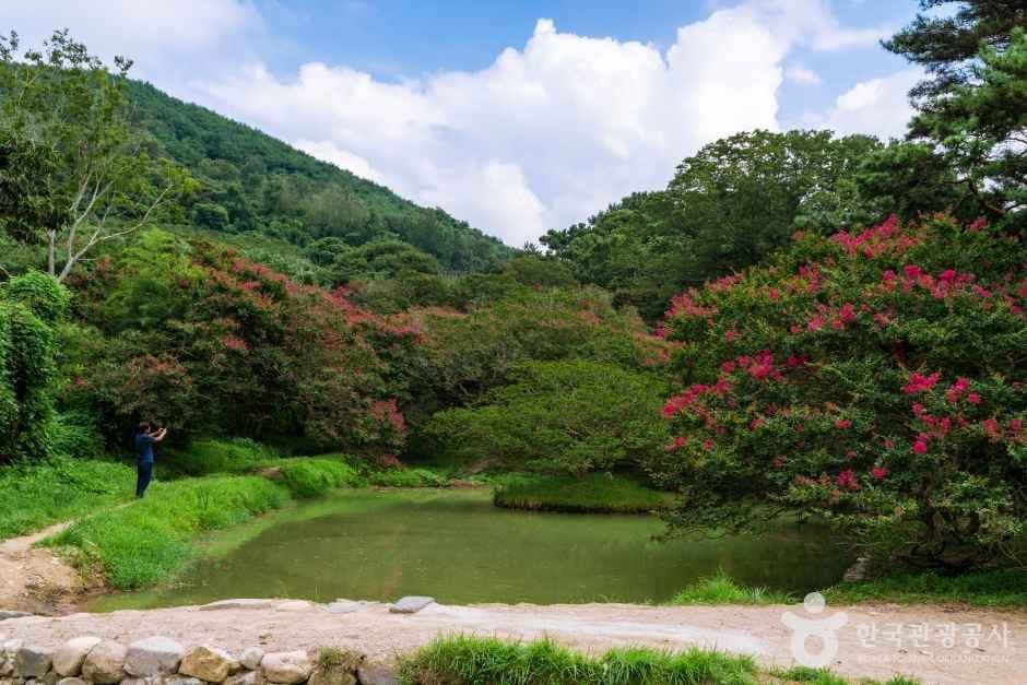 담양 명옥헌 원림 사진 2