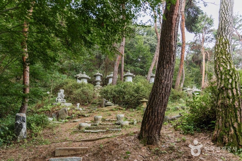 동도사(용인) 사진 4