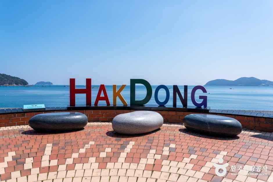 학동 흑진주 몽돌해변 사진 5