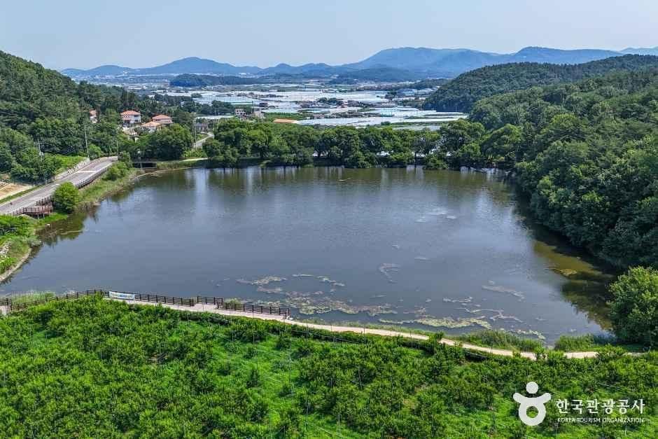 반곡지 사진 4