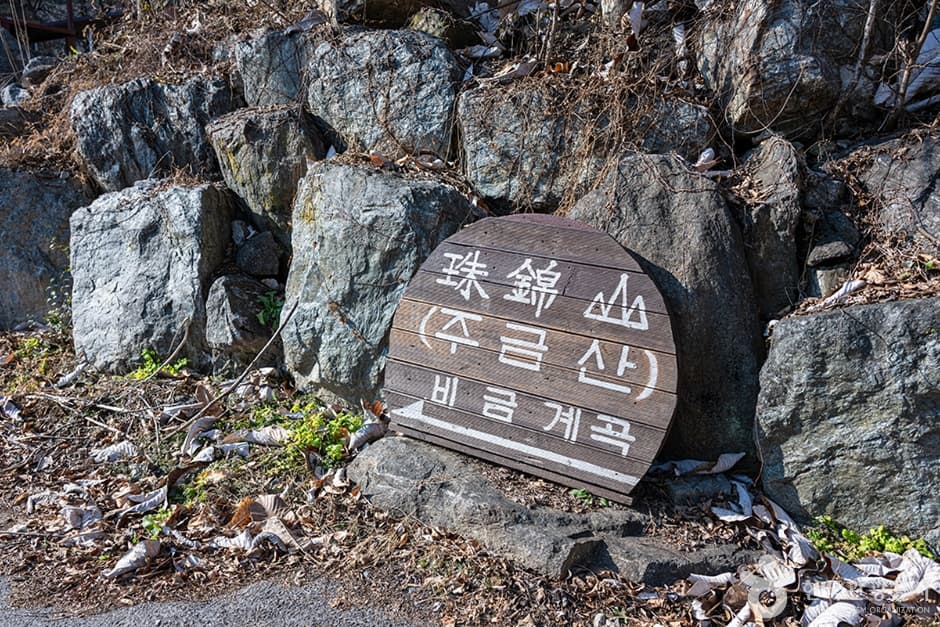비금계곡