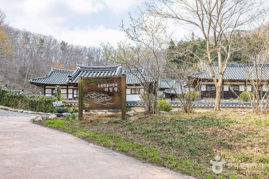 순천전통야생차체험관 사진 2