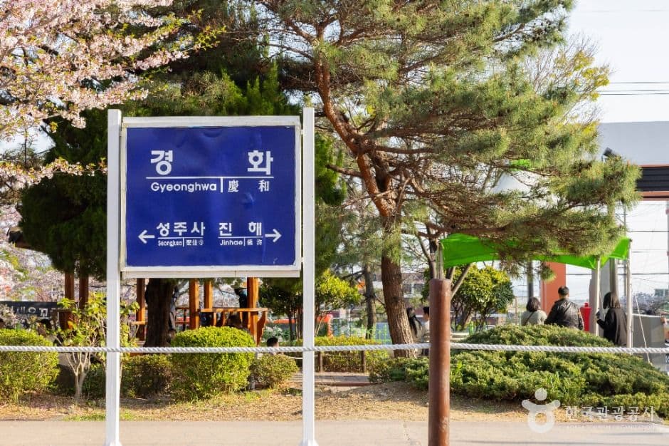 경화역 벚꽃길 사진 2