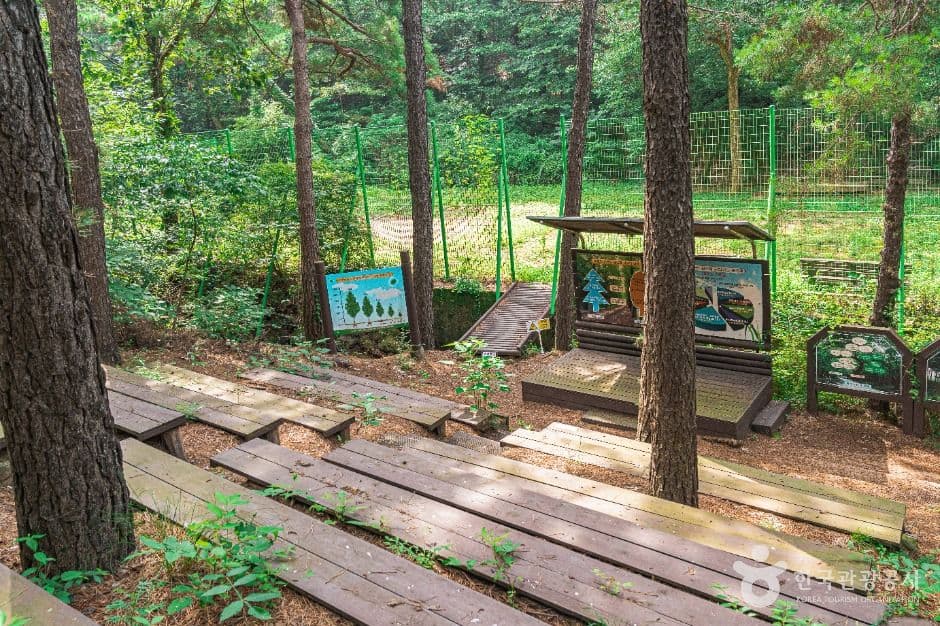 문수산산림욕장 사진 6