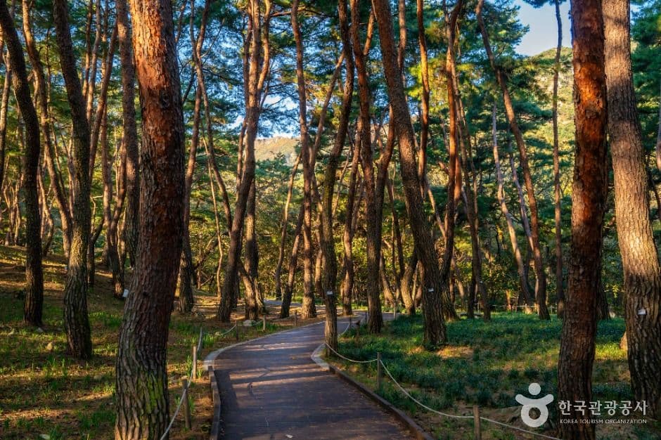 금오산도립공원 사진 5