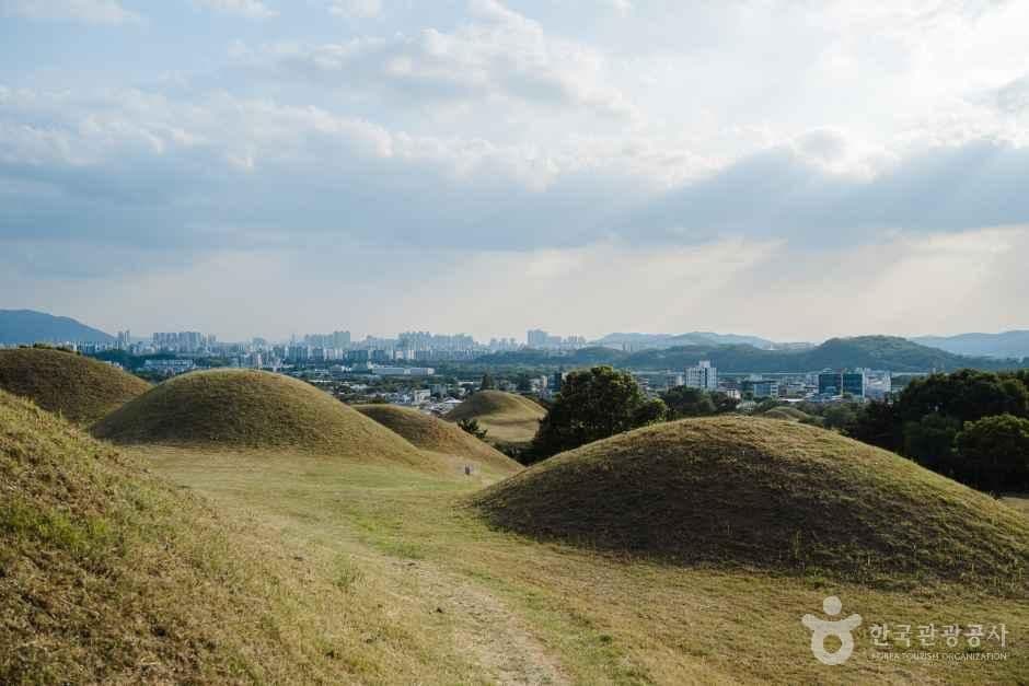 대구 불로동 고분군 사진 4