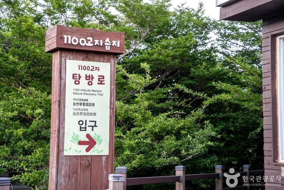 1100고지습지 사진 3