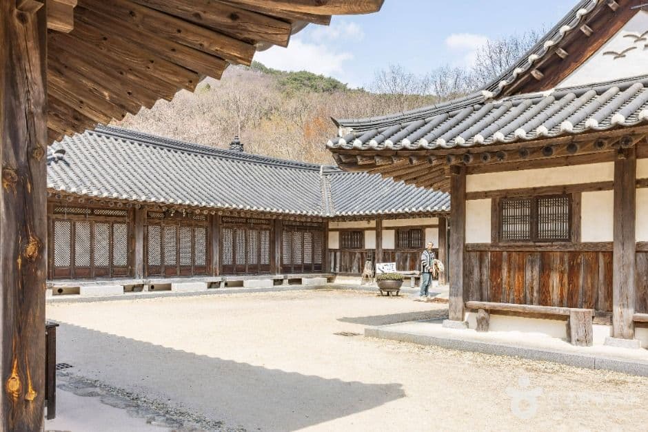순천전통야생차체험관 사진 3