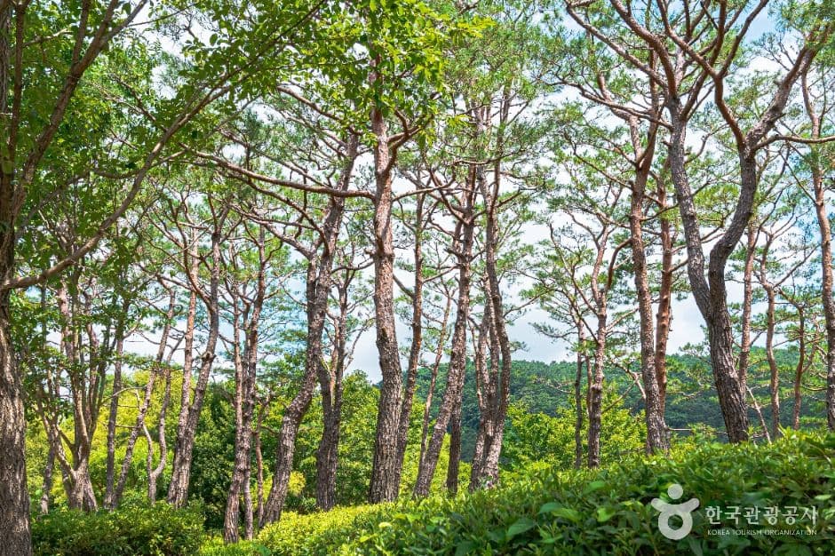 광주호 호수생태원 사진 5