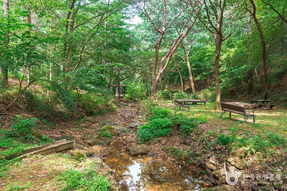 문수산산림욕장 사진 7