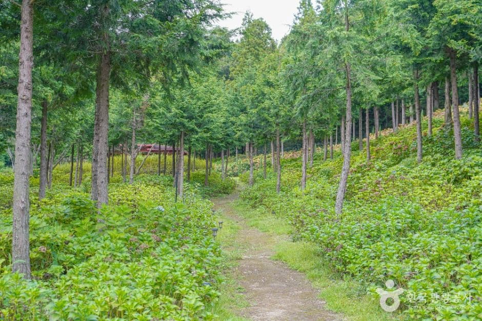 숲정원 윤제림 사진 2