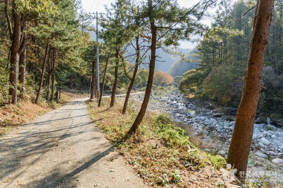 명지계곡 사진 3