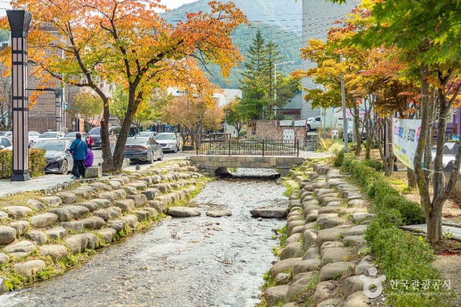 황지연못 사진 4
