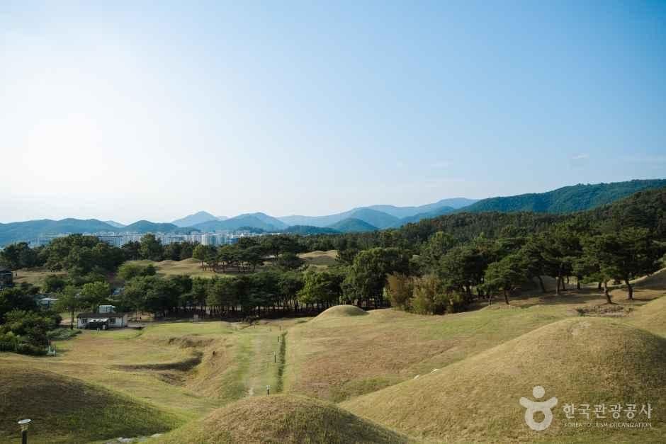 대구 불로동 고분군 사진 5