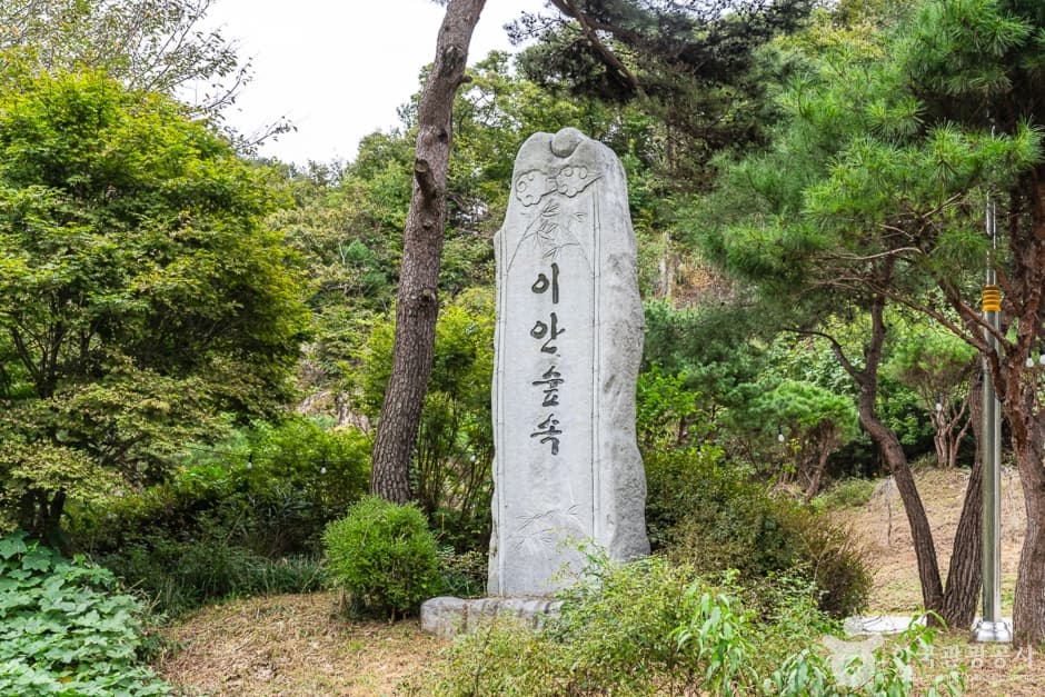 이안숲속